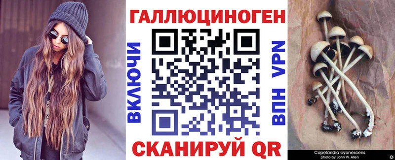 Галлюциногенные грибы Psilocybine cubensis  Сельцо 