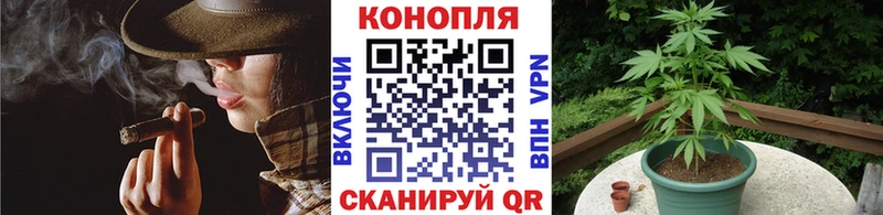 нарко площадка официальный сайт  Сельцо  Конопля семена 